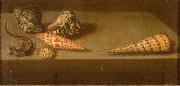 AST, Balthasar van der, Lezards et coquillages